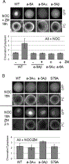 Figure 6: