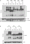 Figure 4: