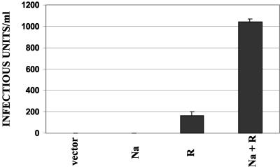 FIG. 5.