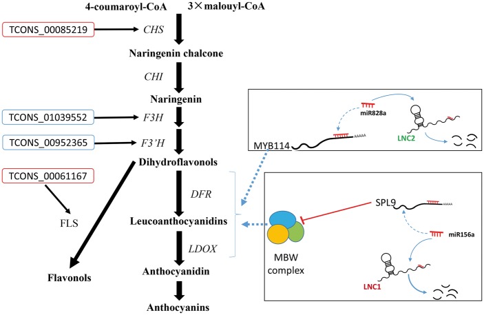 Figure 6.