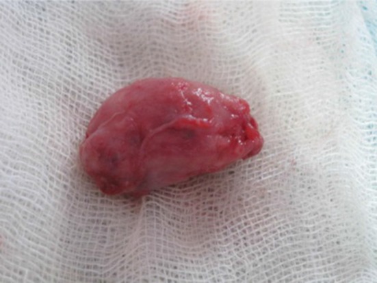 Fig. 6