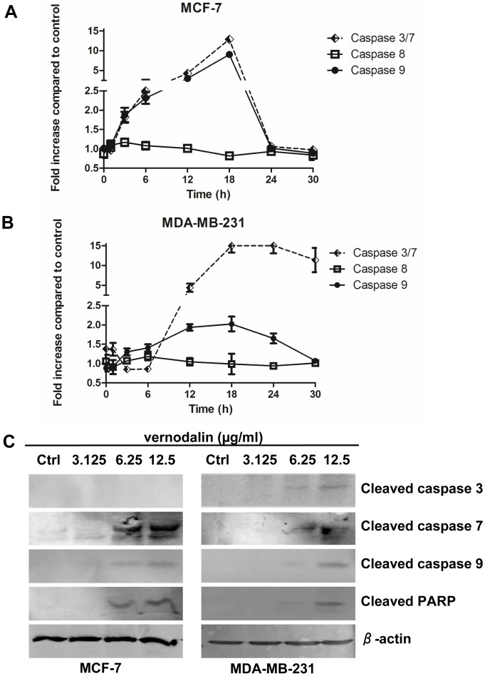 Figure 13