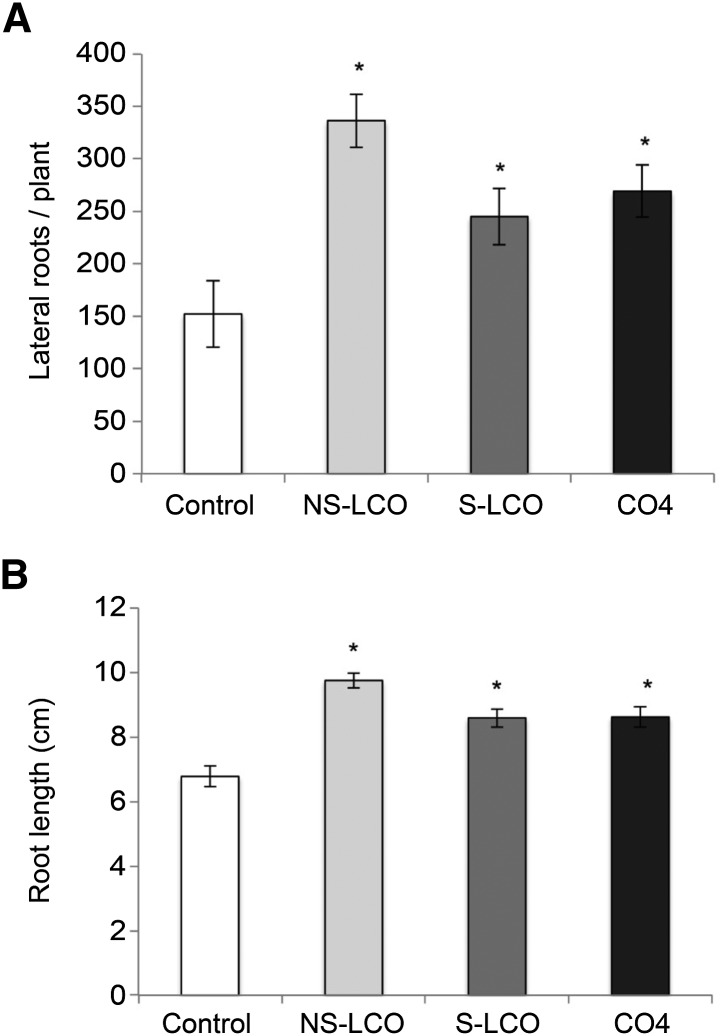 Figure 10.