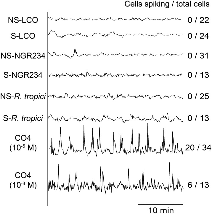 Figure 7.