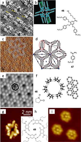 Figure 31