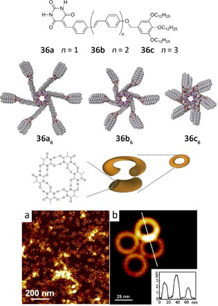 Figure 25