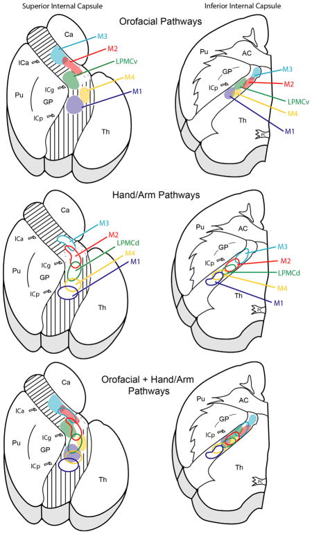 FIGURE 12