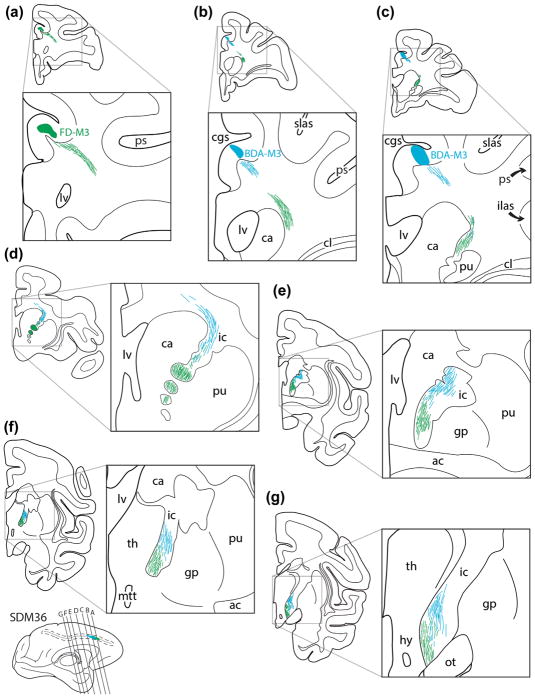 FIGURE 11