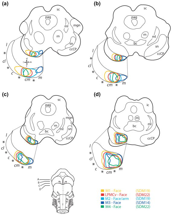 FIGURE 10