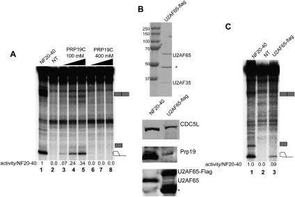 Figure 5.