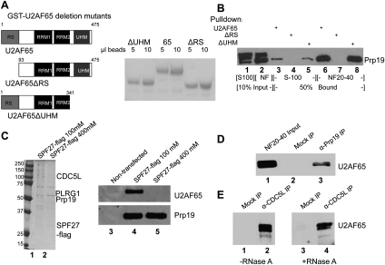 Figure 2.