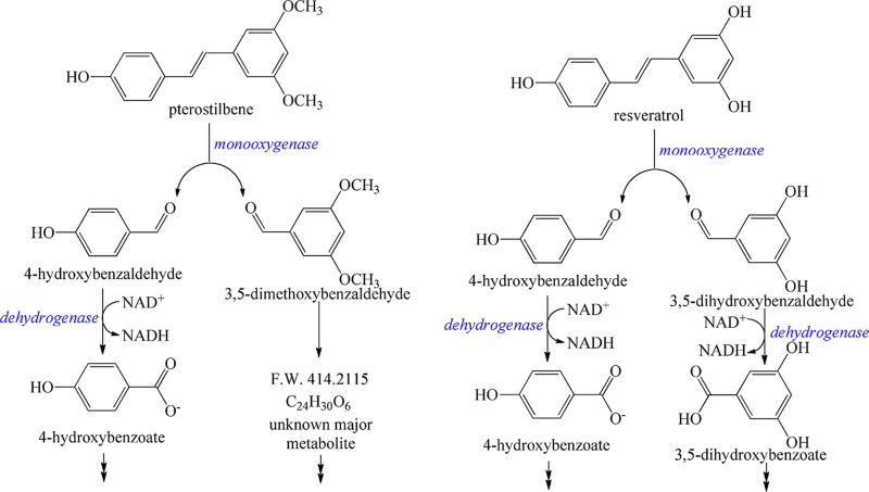 FIG 6