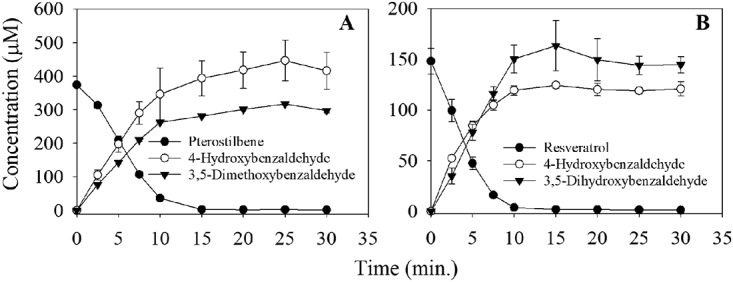 FIG 5