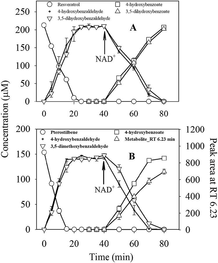 FIG 4