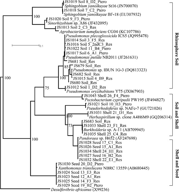 FIG 1