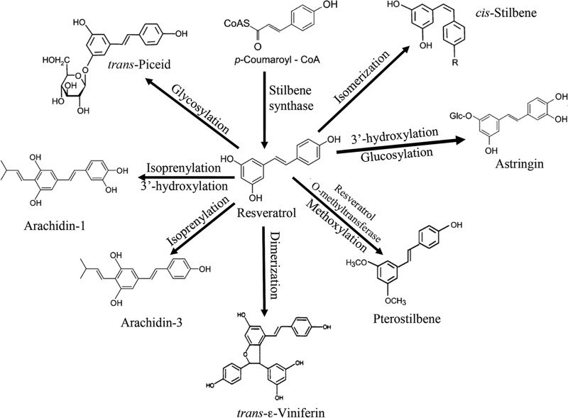 FIG 7