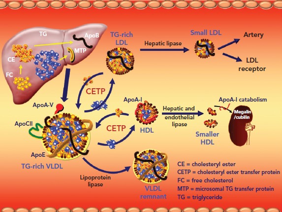 Figure 2: