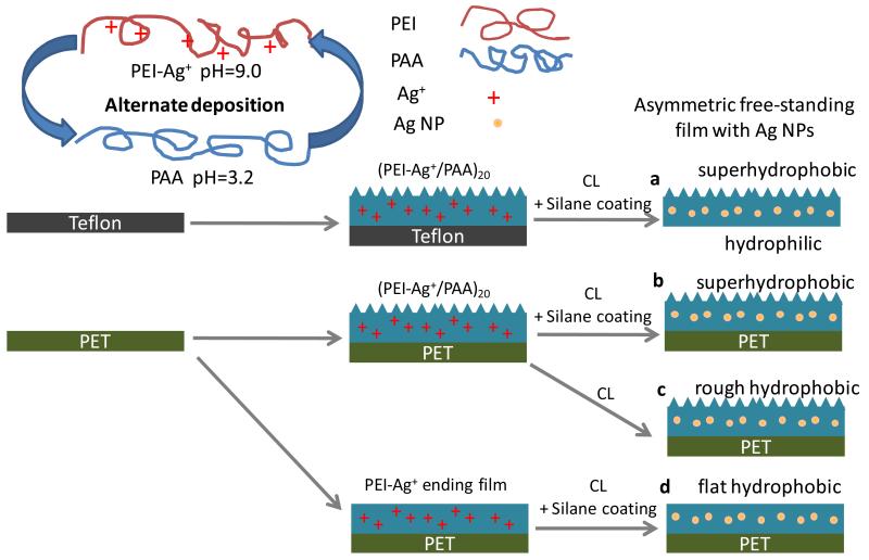 Scheme 1