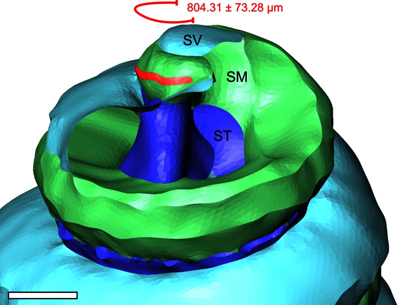 Fig. 10