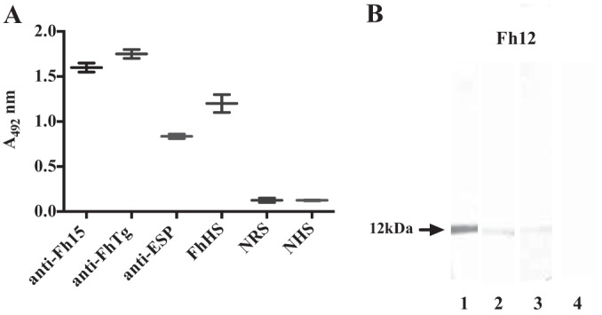 FIG 2