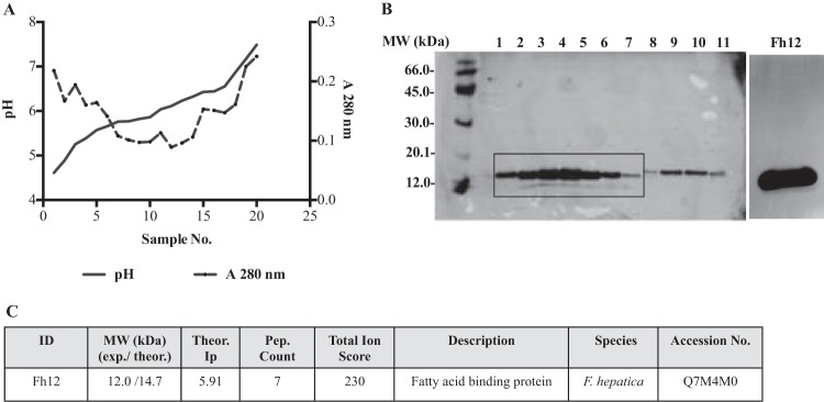 FIG 1