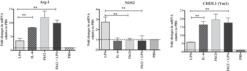 FIG 3