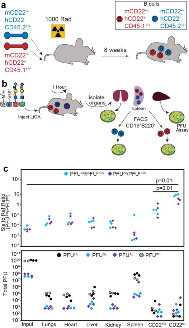 Fig. 6: