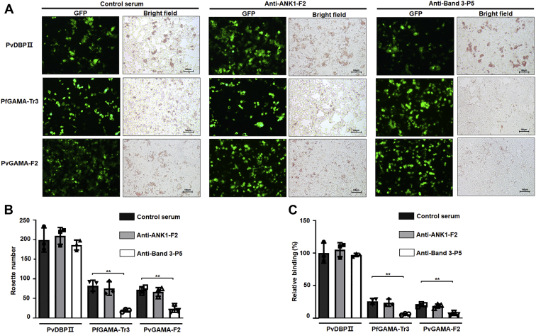 Figure 6