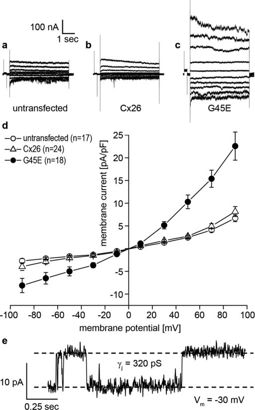 FIGURE 2: