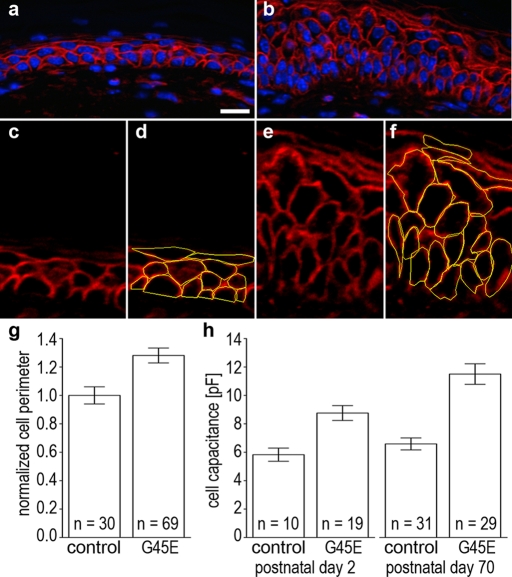 FIGURE 9: