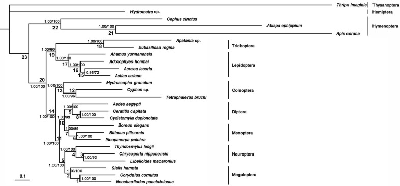 Figure 11