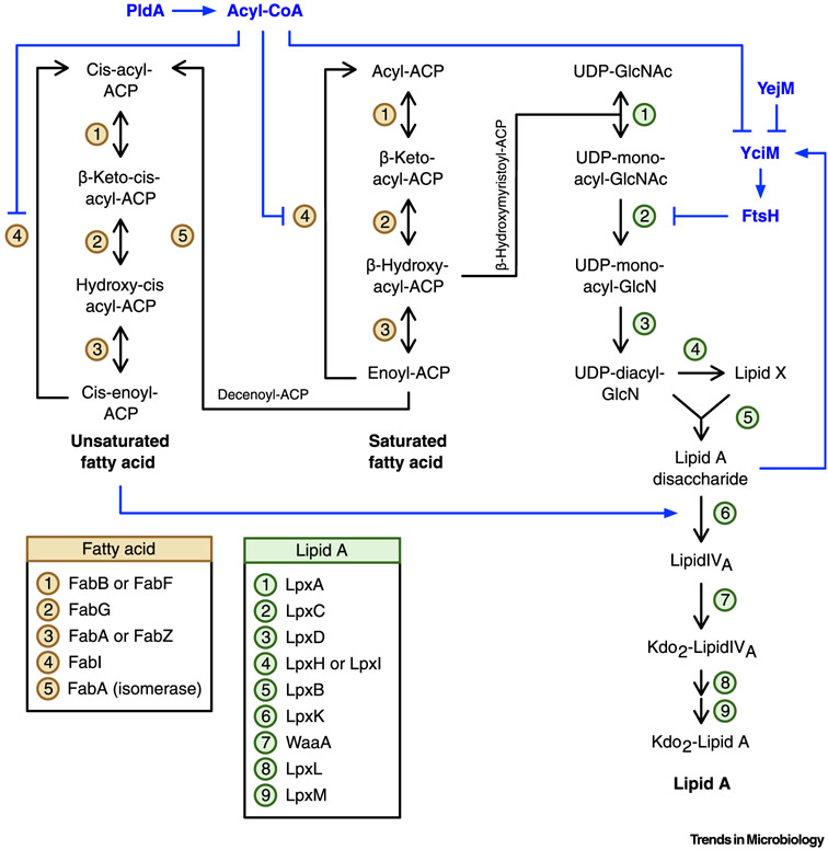 Figure 3. Key Figure