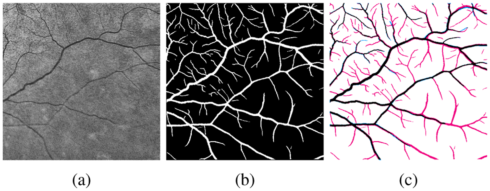 Fig. 3: