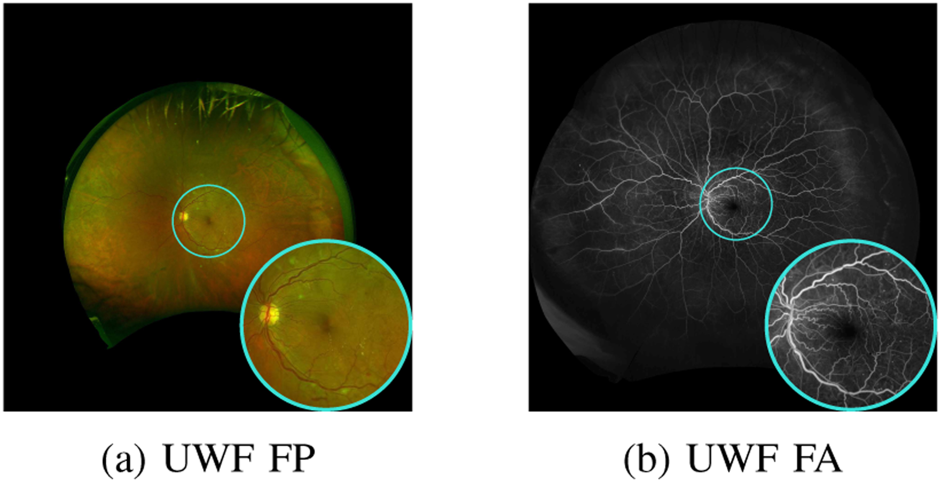 Fig. 1: