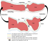 FIGURE 13