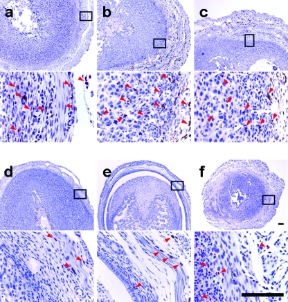 FIG. 5.