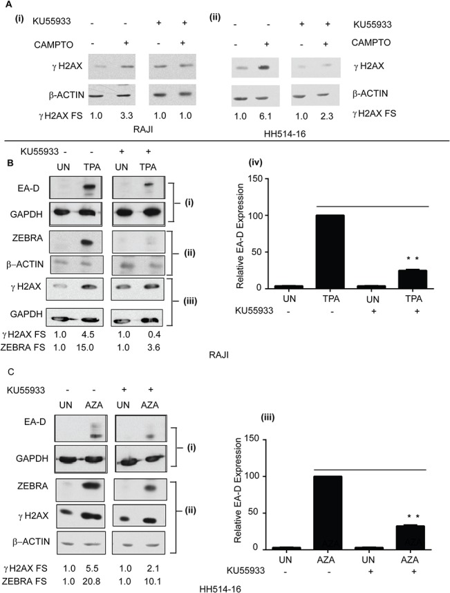 Fig 8