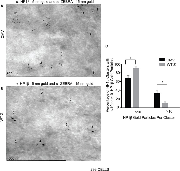 Fig 12