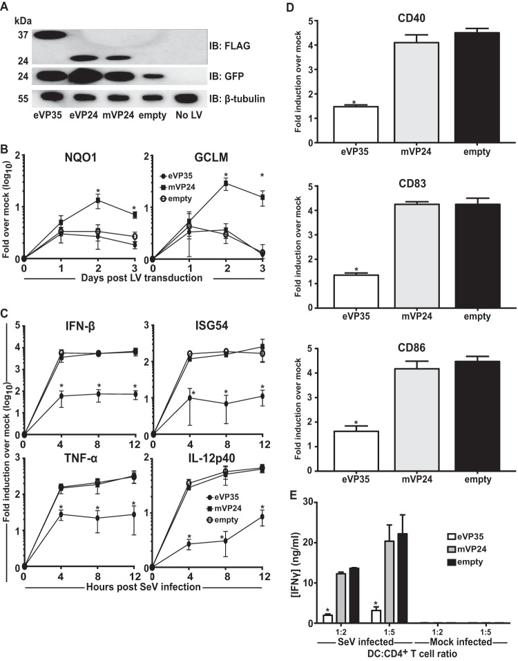 FIG 6