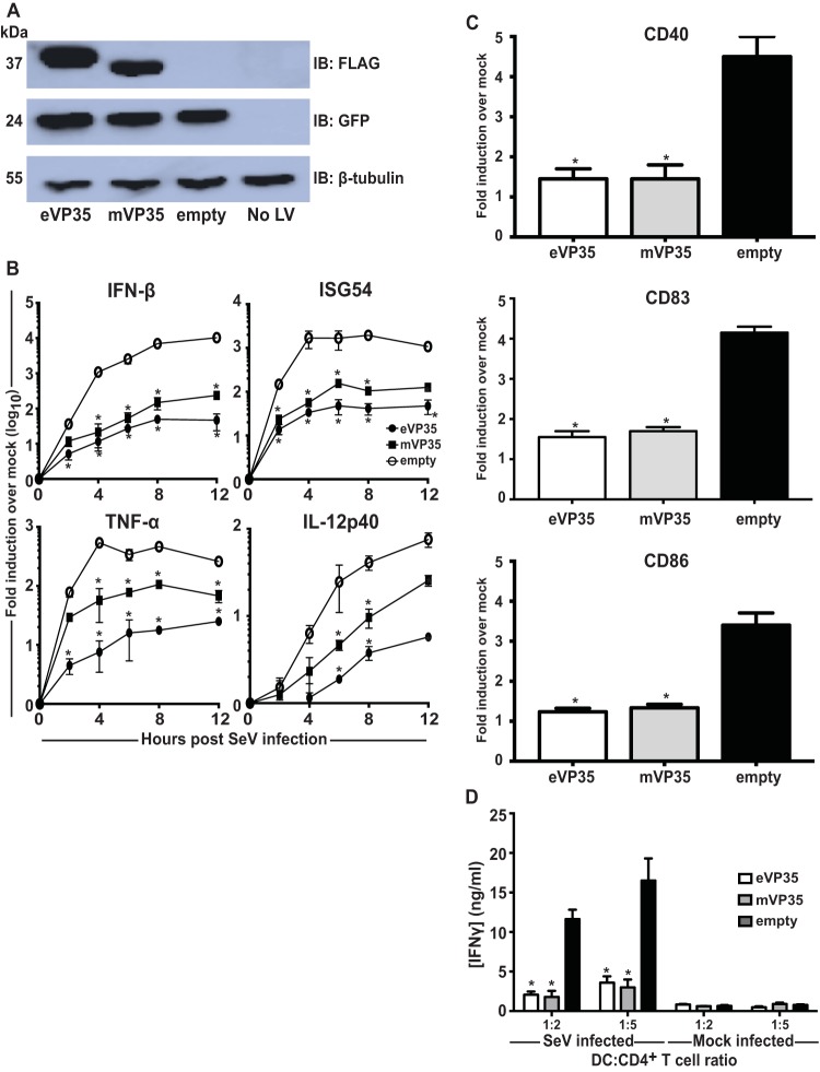 FIG 1