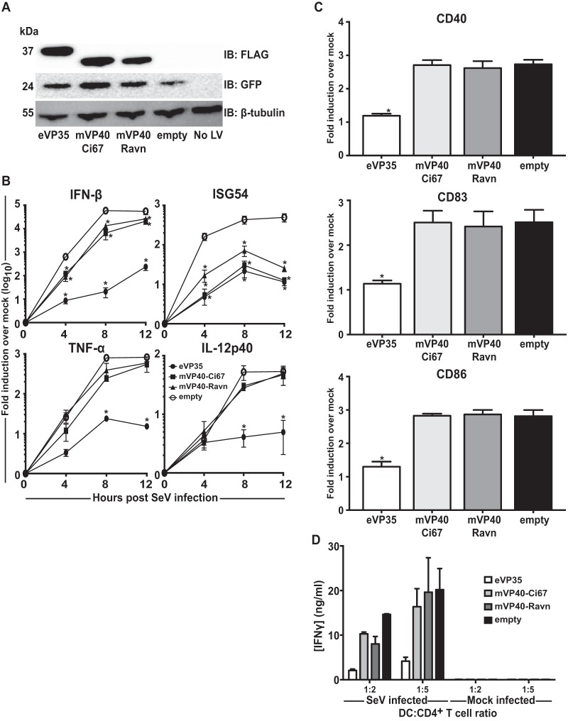 FIG 4