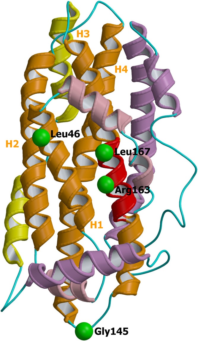 Fig. 3.