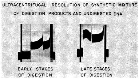 graphic file with name pnas00737-0031-a.jpg