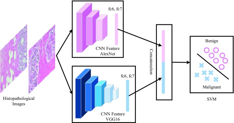 Fig. 2