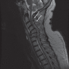 Figure 1)