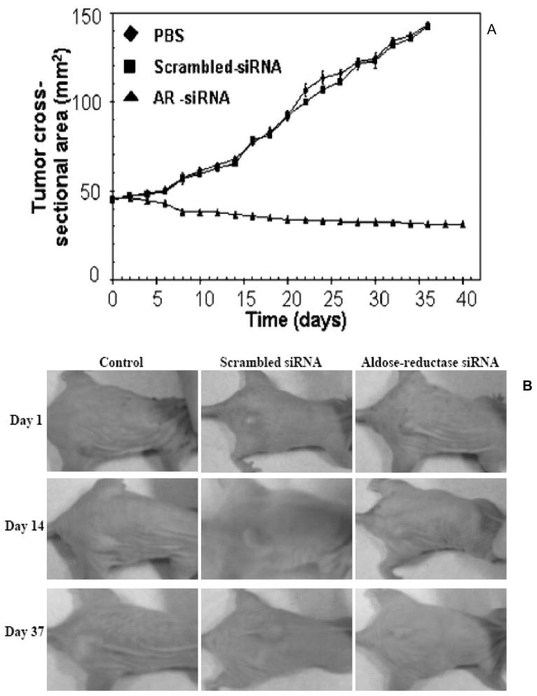 Fig. (4)