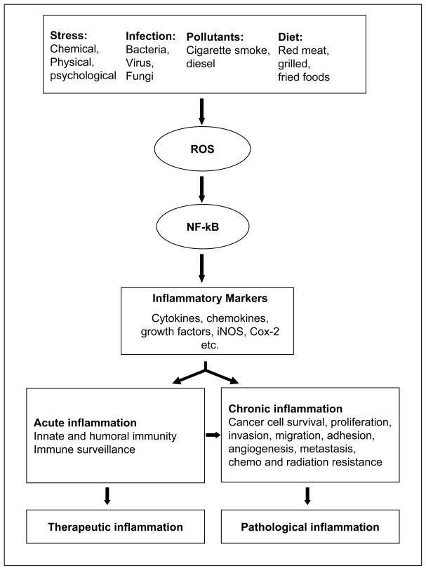 Fig. (1)