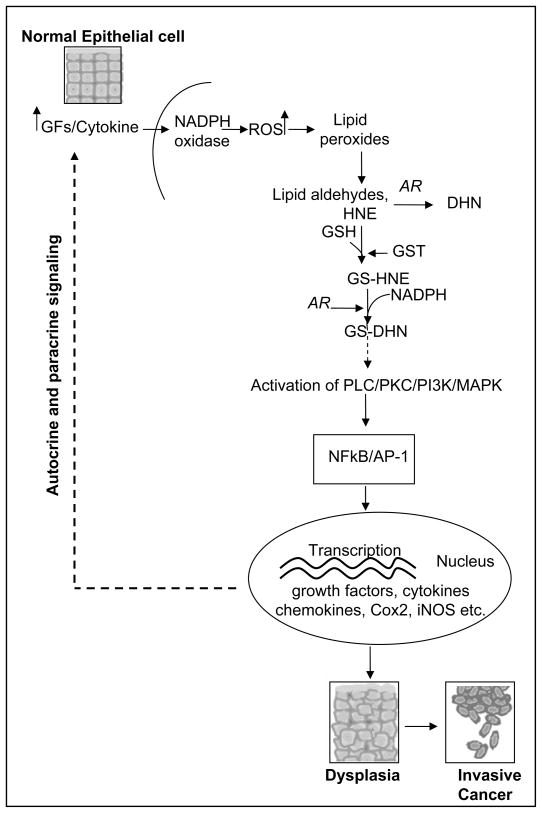 Fig. (3)