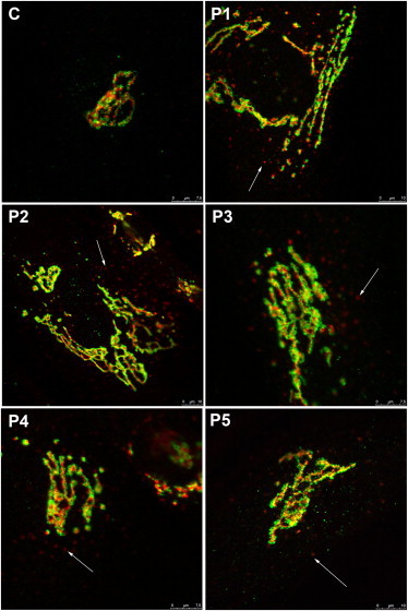 Figure 3