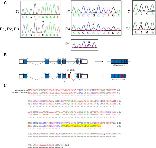 Figure 4